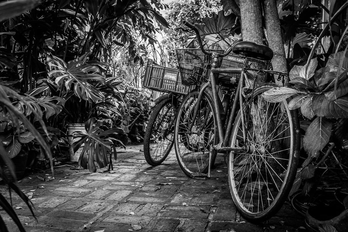 Hostel La Cruz Del Sur ลาปาโลมา ภายนอก รูปภาพ
